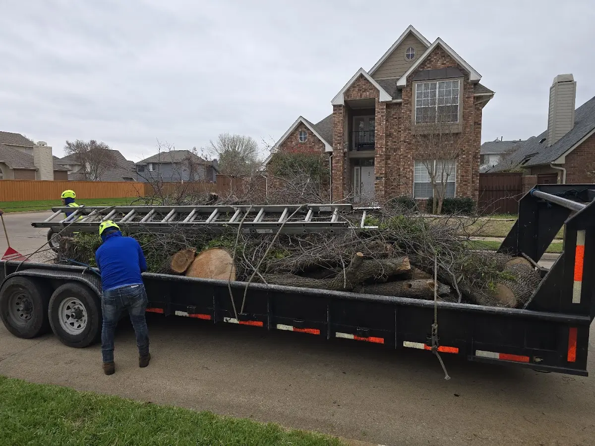 Expert Tree Removal with proper safety equipment in Emmetsburg